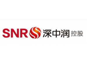 深中潤投資控股有限公司
